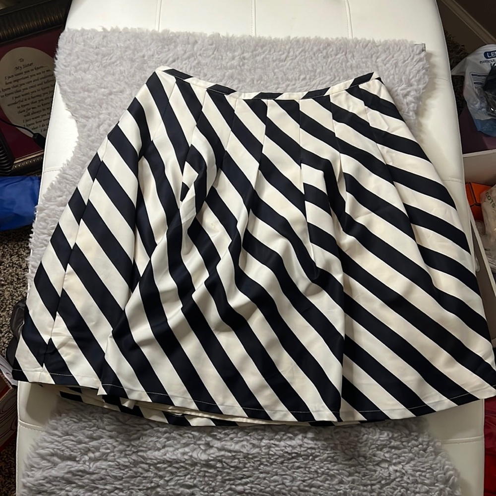 The Limited Beautiful Blue and White Flare Skirt